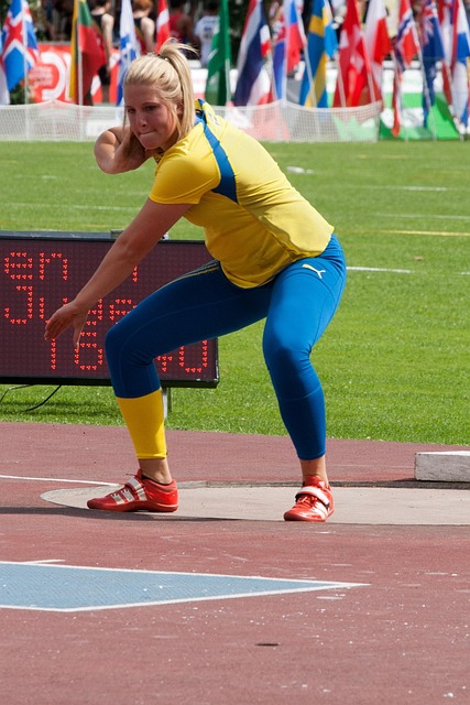 和莫耶斯